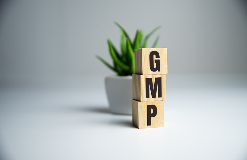 Wooden blocks spelling out "GMP" are stacked in front of a small potted plant, symbolizing the importance of Good Manufacturing Practices. This image represents GMP quality consultants in Dubai, Sharjah, and UAE.