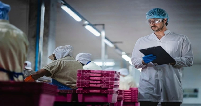 Food safety inspector reviewing production processes in a food processing facility during a HACCP audit.