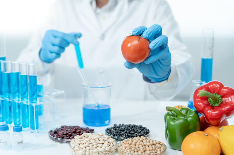 A scientist wearing blue gloves and a lab coat is holding a tomato in one hand and a pipette with blue liquid in the other, surrounded by test tubes, beans, and fresh vegetables. HACCP consultants in Dubai, Sharjah, and UAE.