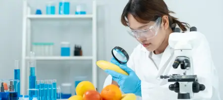 best iso consultants in uae