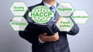 HACCP certification process highlighting quality control, hygiene, and food safety compliance in Dubai.